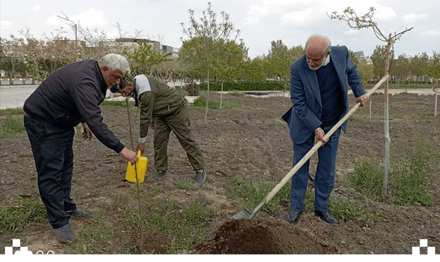 در راستای تأکیدات مقام معظم رهبری (مدظله العالی) بر اهمیت توسعه فضای سبز، برنامه کاشت نهال در بیمارستان رضوی